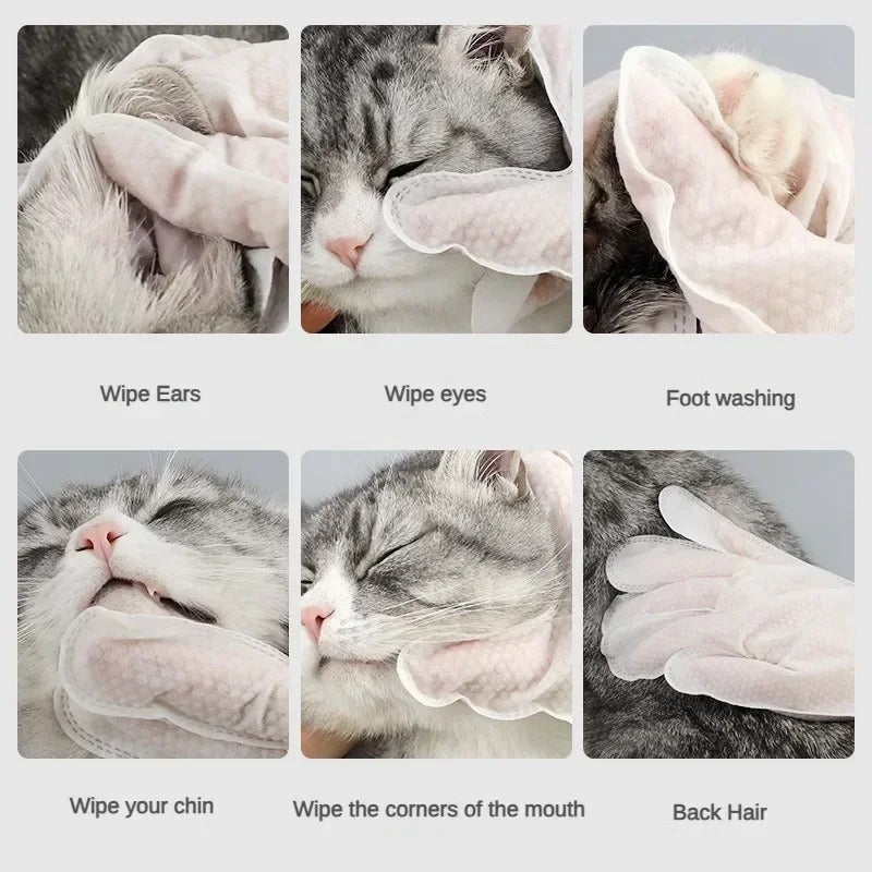 6pcs Cat Dog Wipes Pet Disposable Gloves Grooming Pet Cat Dog Ear Eye Cleaning Deodorizing Gloves Wipes